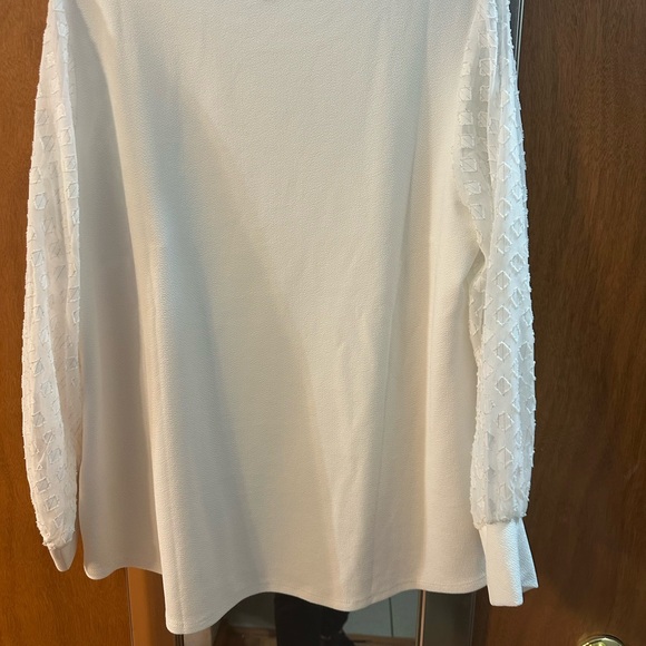 Adrianna Papell Cream Blouse with Textured Sleeves - Picture 3 of 4